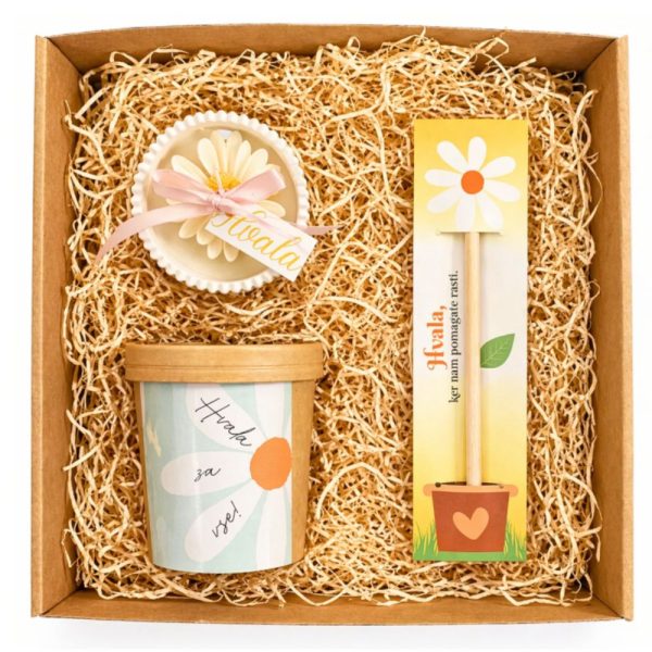 Poklon paket Daisy (1)